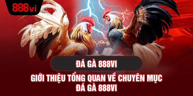 Giới thiệu tổng quan về đá gà 888vi