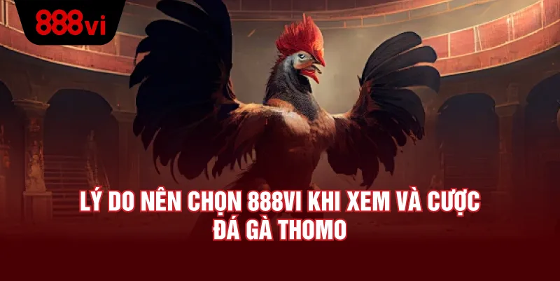 Lợi Ích Khi Tham Gia Đá Gà Thomo Tại 888VI